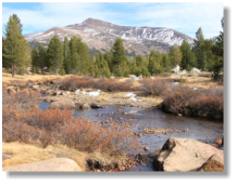 Yosemite National Park