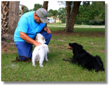 mit Bob und Lola im Garten