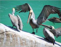 unterwegs auf den Keys