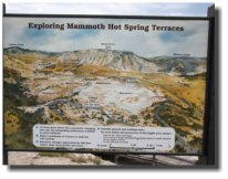 Mammoth Hot Springs Terrace